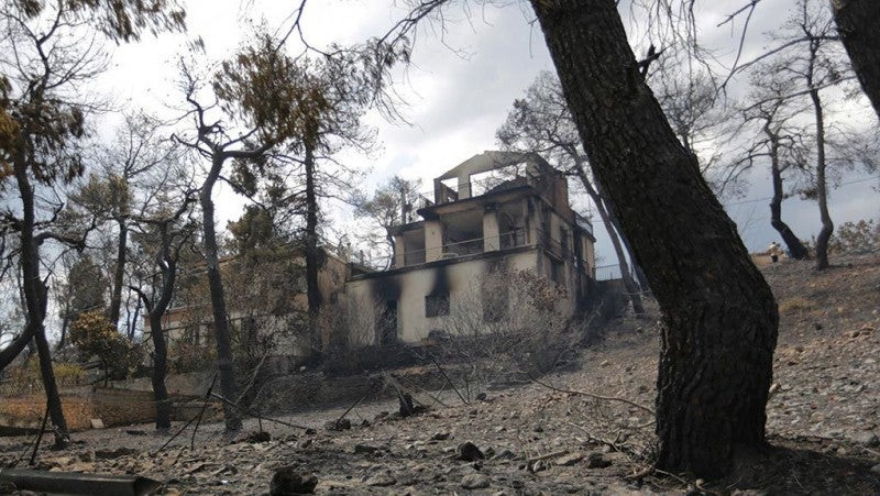 Αναδασωτέες όλες οι καμένες εκτάσεις, με εγκύκλιο Φάμελλου